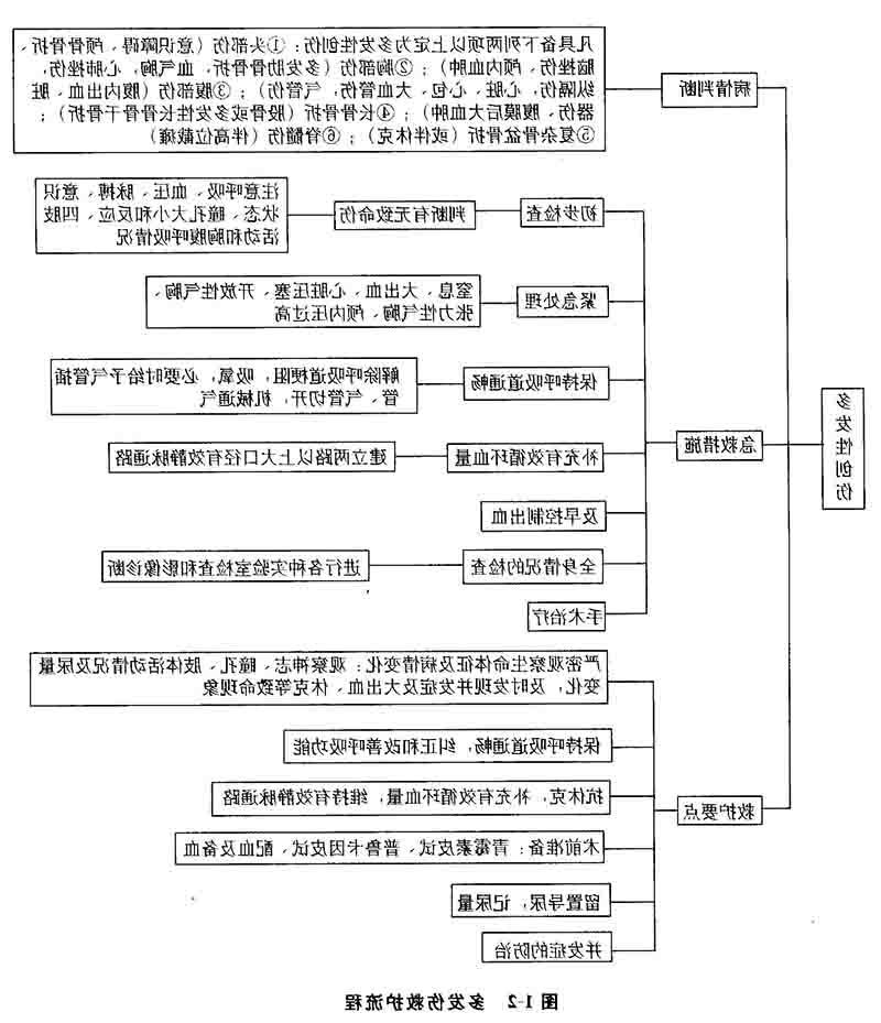 多发伤救护程序